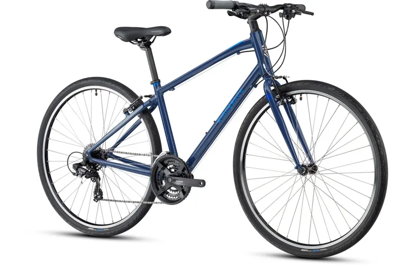 Ridgeback Motion Blue-1